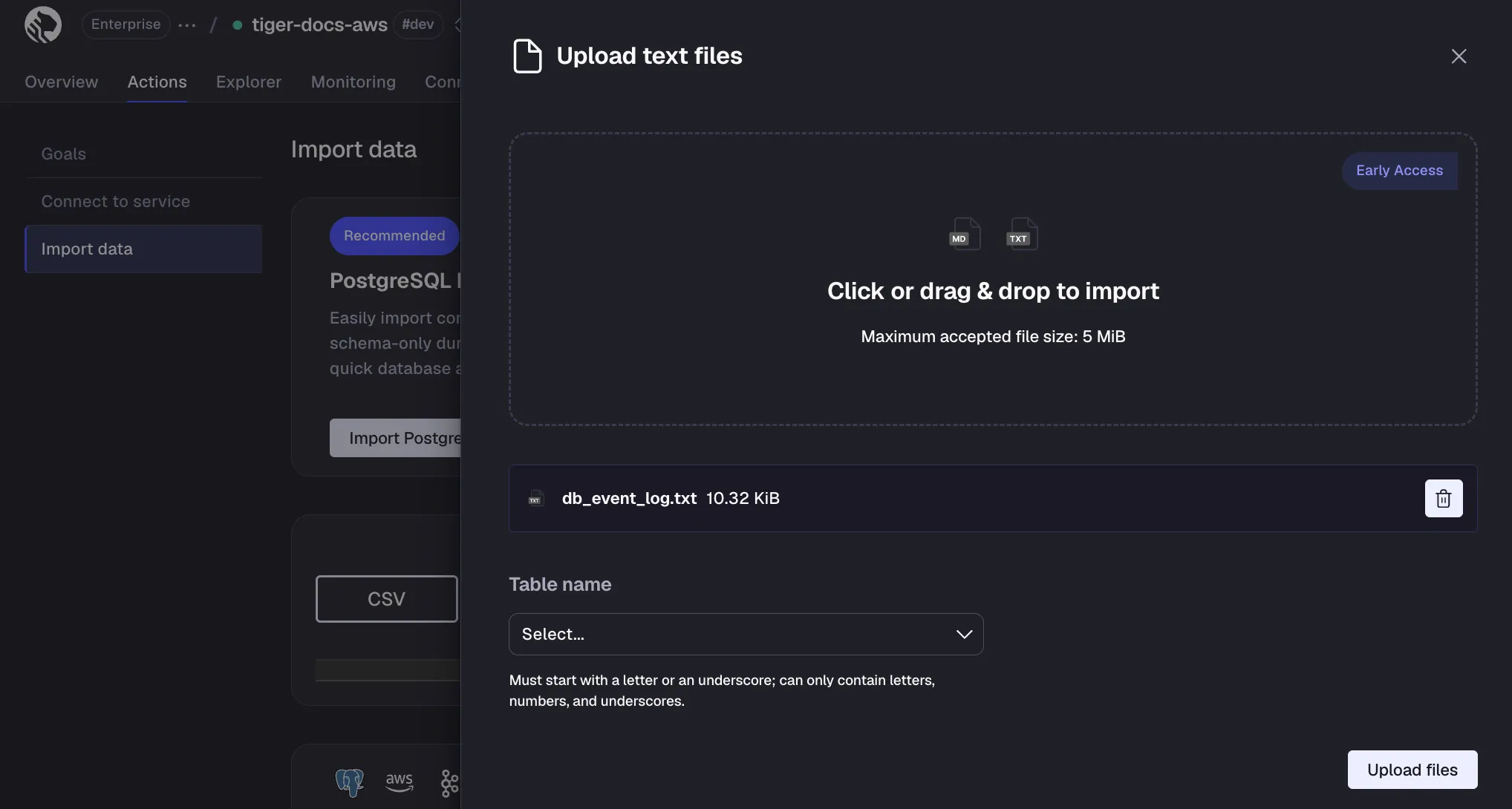 Configuring text file import settings in Tiger Console